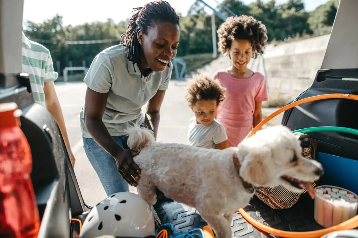 3 Best Dog-Friendly Road Trips from Phoenix